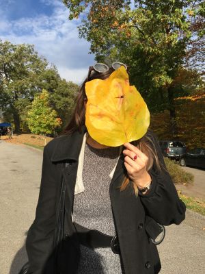 Leaves as big as my head