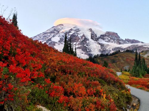 Stunning Mount Rainier